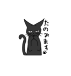無愛想な黒猫さん（個別スタンプ：36）