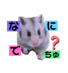 シルバーグレーのレアちゃん。（個別スタンプ：2）