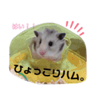 シルバーグレーのレアちゃん。（個別スタンプ：6）
