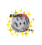 シルバーグレーのレアちゃん。（個別スタンプ：12）