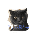 私が牡丹です。（個別スタンプ：5）
