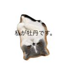 私が牡丹です。（個別スタンプ：8）
