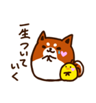 柴尾の推しスタンプ（個別スタンプ：3）
