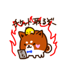 柴尾の推しスタンプ（個別スタンプ：15）