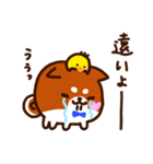 柴尾の推しスタンプ（個別スタンプ：16）