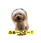 ぼく、福丸です。その3（個別スタンプ：8）