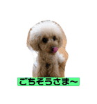 ぼく、福丸です。その3（個別スタンプ：10）
