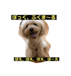 ぼく、福丸です。その3（個別スタンプ：13）