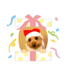 ぼく、福丸です。その3（個別スタンプ：34）