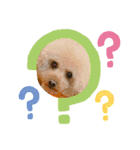 ぼく、福丸です。その3（個別スタンプ：35）