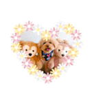 ぼく、福丸です。その3（個別スタンプ：37）