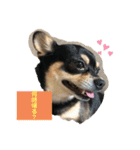 うちのうるる（個別スタンプ：2）