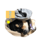 うちのうるる（個別スタンプ：4）