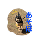 うちのうるる（個別スタンプ：14）