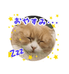猫まる小町のメロメロスタンプ（個別スタンプ：2）