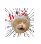 猫まる小町のメロメロスタンプ（個別スタンプ：10）