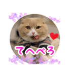 猫まる小町のメロメロスタンプ（個別スタンプ：11）