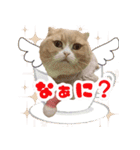 猫まる小町のメロメロスタンプ（個別スタンプ：12）