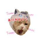 猫まる小町のメロメロスタンプ（個別スタンプ：20）