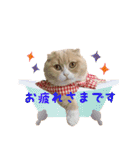 猫まる小町のメロメロスタンプ（個別スタンプ：21）