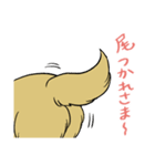おさんぽですし！発売記念スタンプ（個別スタンプ：4）