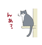 おさんぽですし！発売記念スタンプ（個別スタンプ：9）