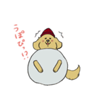 おさんぽですし！発売記念スタンプ（個別スタンプ：13）