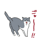おさんぽですし！発売記念スタンプ（個別スタンプ：28）