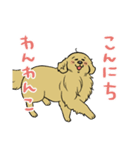 おさんぽですし！発売記念スタンプ（個別スタンプ：31）