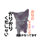 黒猫ミクロ（個別スタンプ：3）