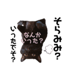黒猫ミクロ（個別スタンプ：5）