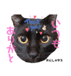 黒猫ミクロ（個別スタンプ：7）