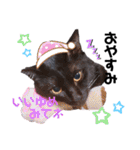 黒猫ミクロ（個別スタンプ：8）