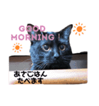 黒猫ミクロ（個別スタンプ：10）
