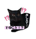 黒猫ミクロ（個別スタンプ：11）