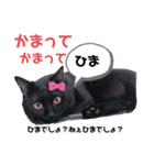 黒猫ミクロ（個別スタンプ：12）