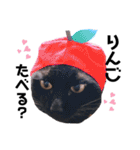 黒猫ミクロ（個別スタンプ：14）
