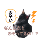 黒猫ミクロ（個別スタンプ：17）