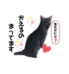 黒猫ミクロ（個別スタンプ：23）
