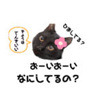 黒猫ミクロ（個別スタンプ：30）