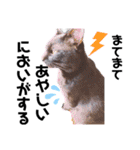 黒猫ミクロ（個別スタンプ：32）