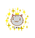 にゃーず（maruru neko）（個別スタンプ：16）