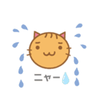 にゃーず（maruru neko）（個別スタンプ：17）