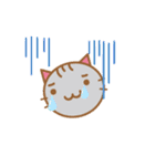 にゃーず（maruru neko）（個別スタンプ：27）