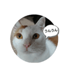 ズーン（個別スタンプ：5）