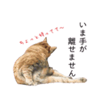 さつこさんちの猫ver2.0（個別スタンプ：18）