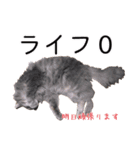 さつこさんちの猫ver2.0（個別スタンプ：19）
