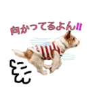 アン♡シェリ（個別スタンプ：5）