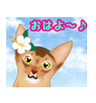 アビにゃん シンプルな日常会話（個別スタンプ：1）