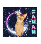 アビにゃん シンプルな日常会話（個別スタンプ：3）
